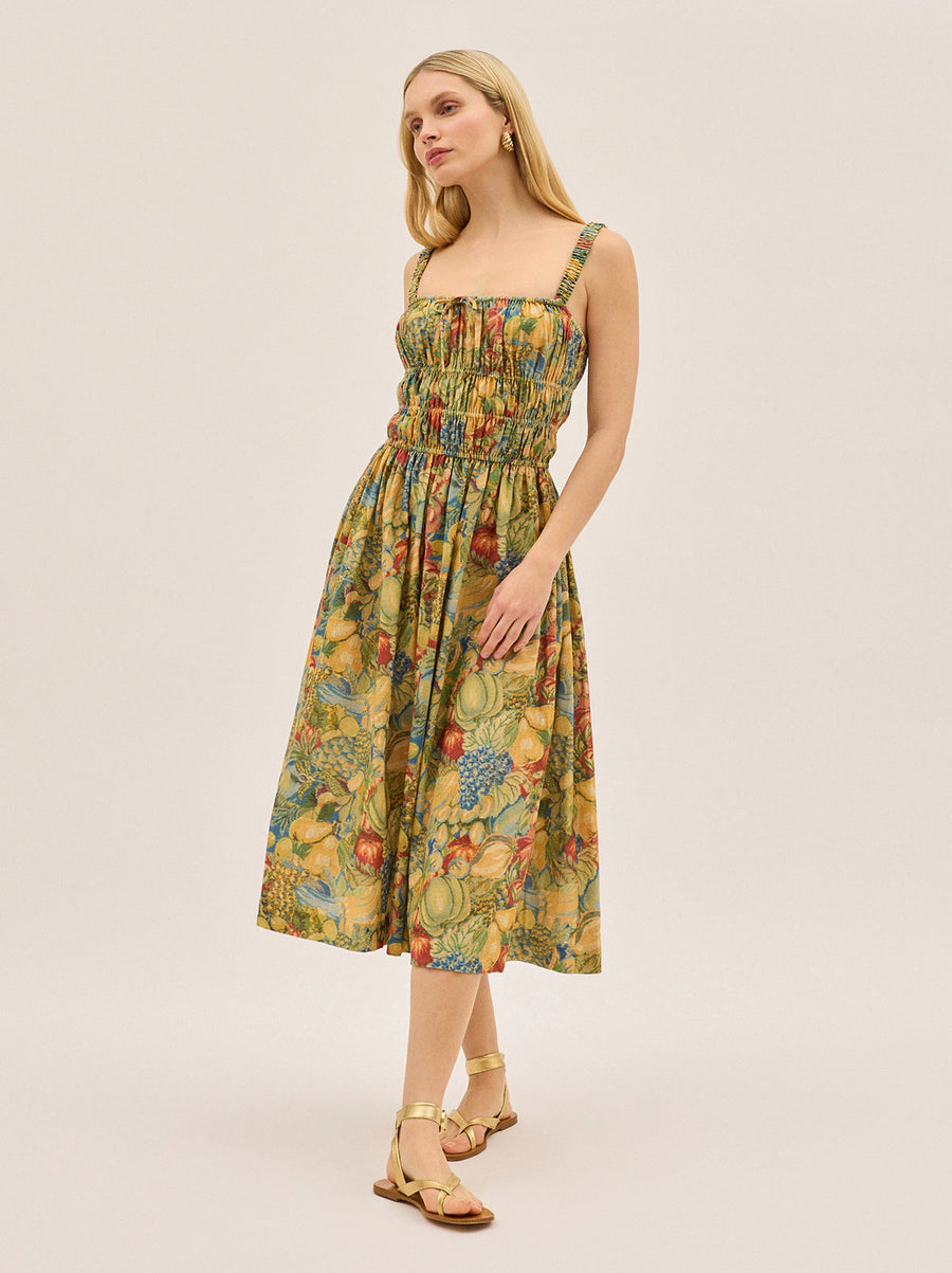 Arya Fruit Print Linen Blend Dress