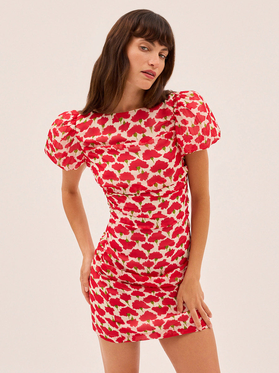 Caitlin Carnation Print Mini Dress