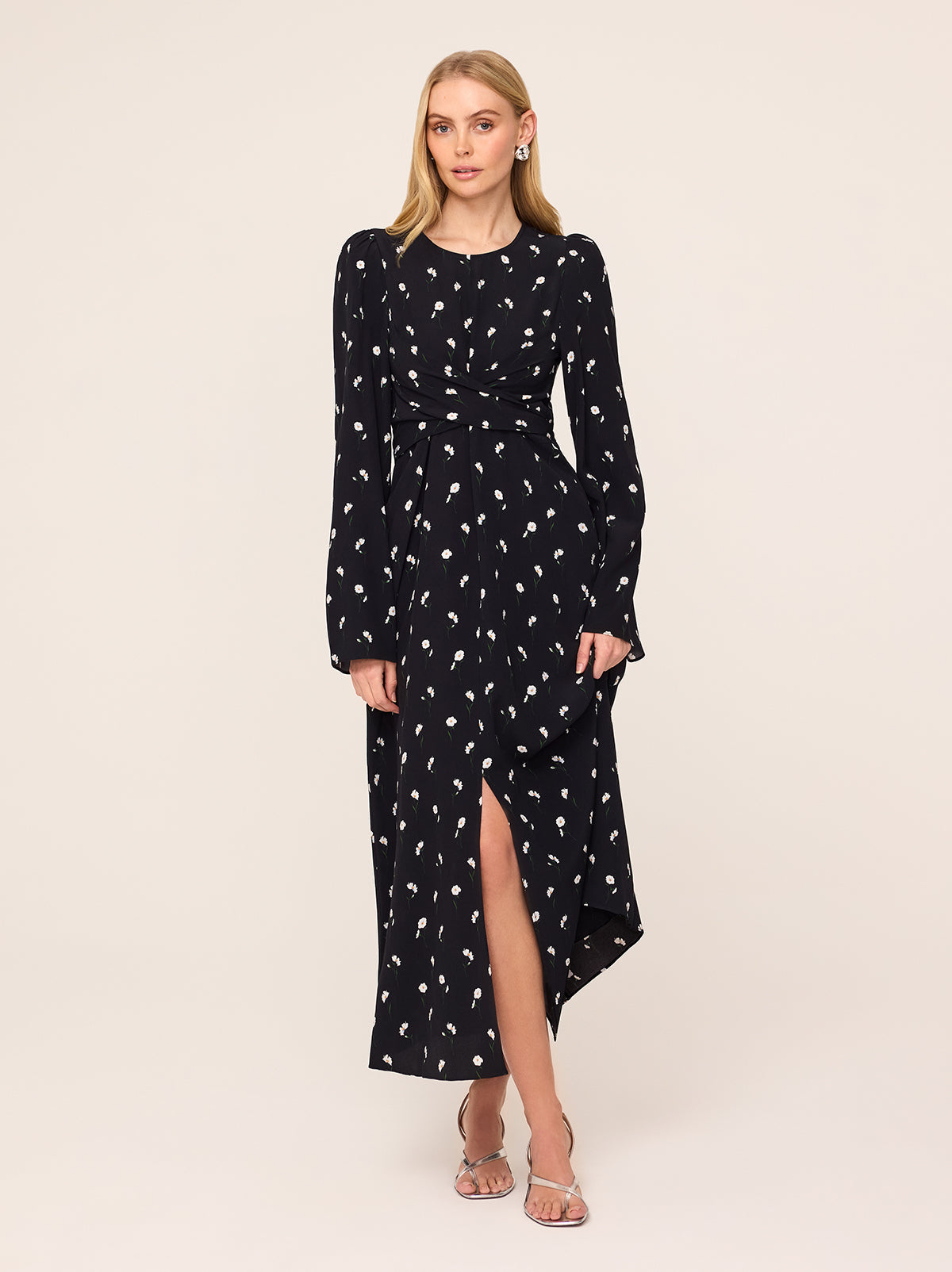 Catarina Black Poppy Print Dress