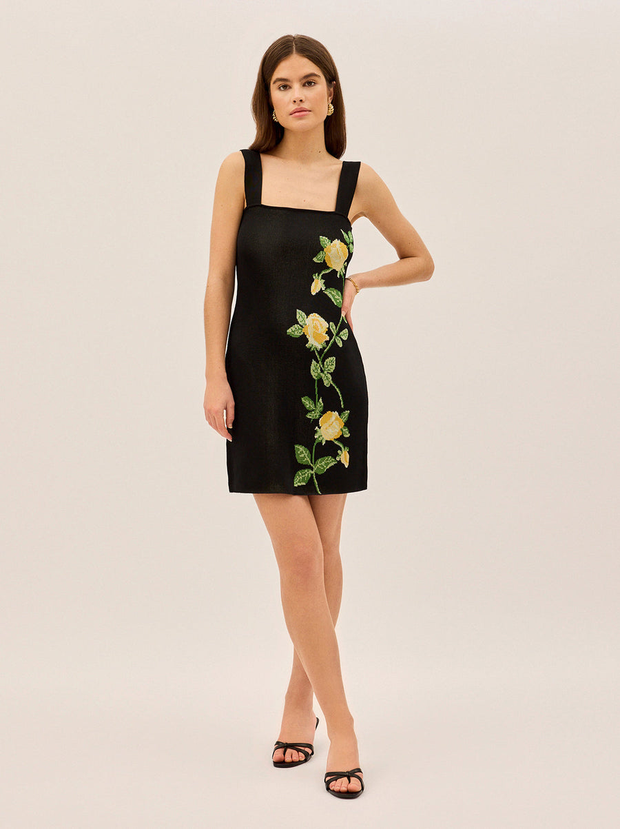 Corrine Black Rose Knit Mini Dress