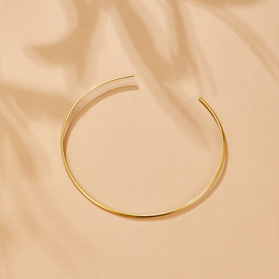 Dainty Gold Collar Necklace