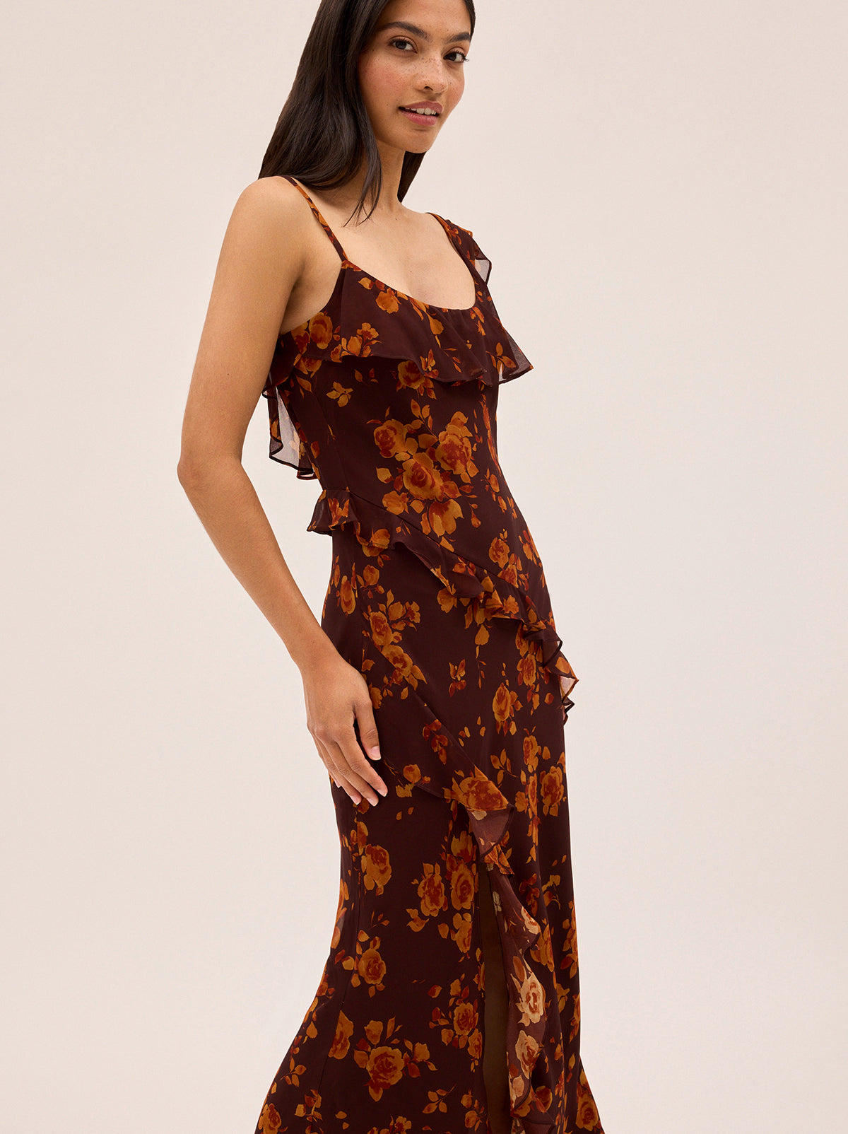 Delphina Autumn Rose Print Dress