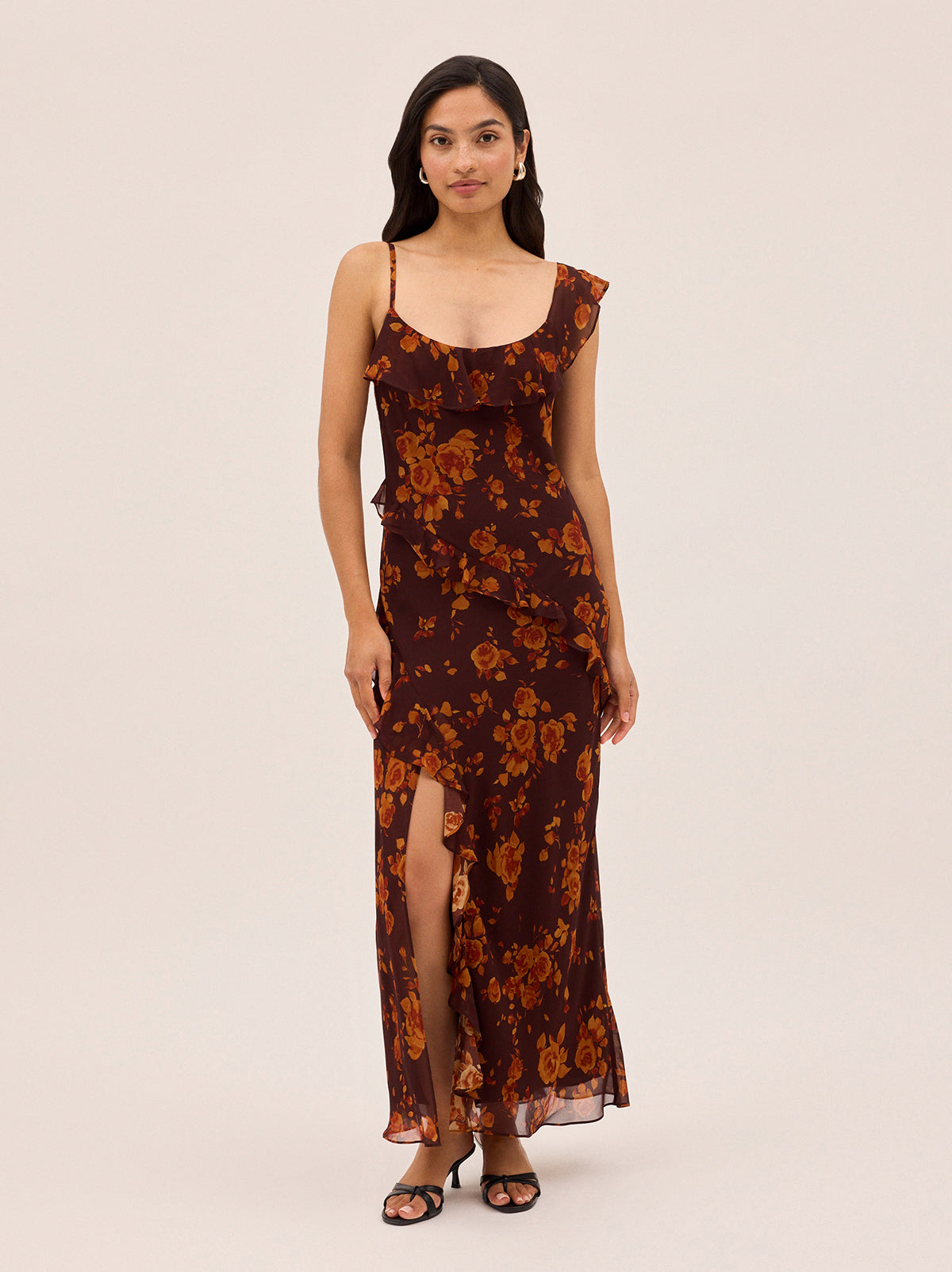 Delphina Autumn Rose Print Dress
