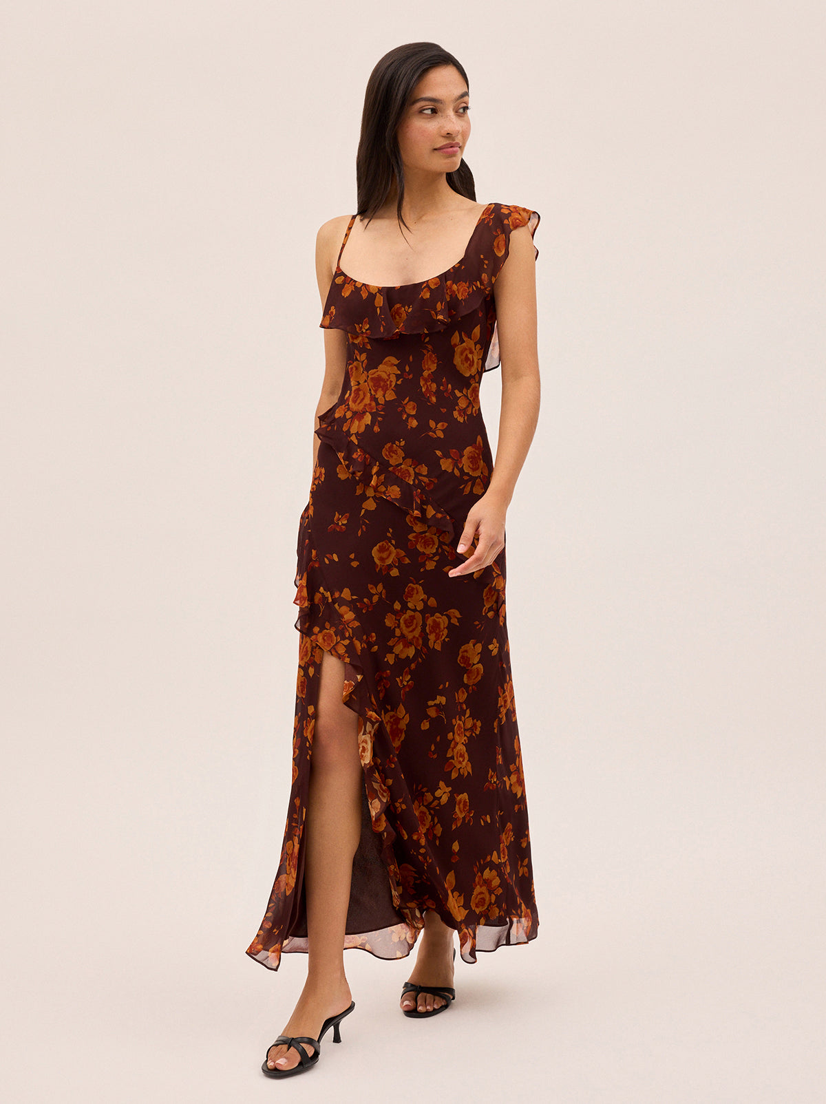 Delphina Autumn Rose Print Dress