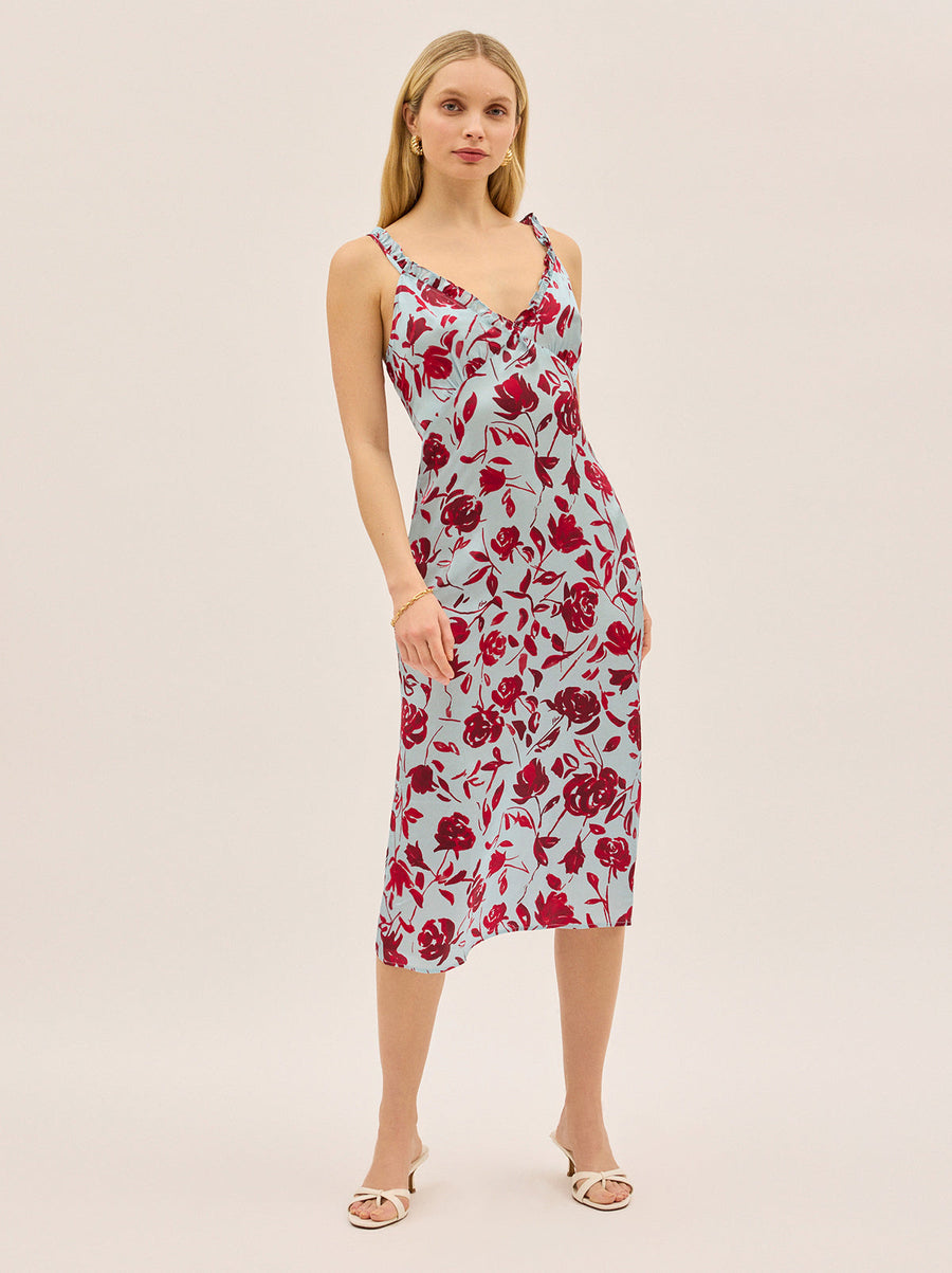 Primrose Blue Rose Print Dress