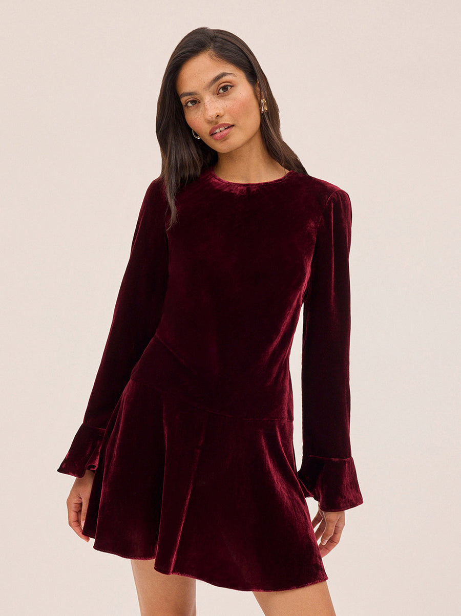Stefania Burgundy Velvet Mini Dress